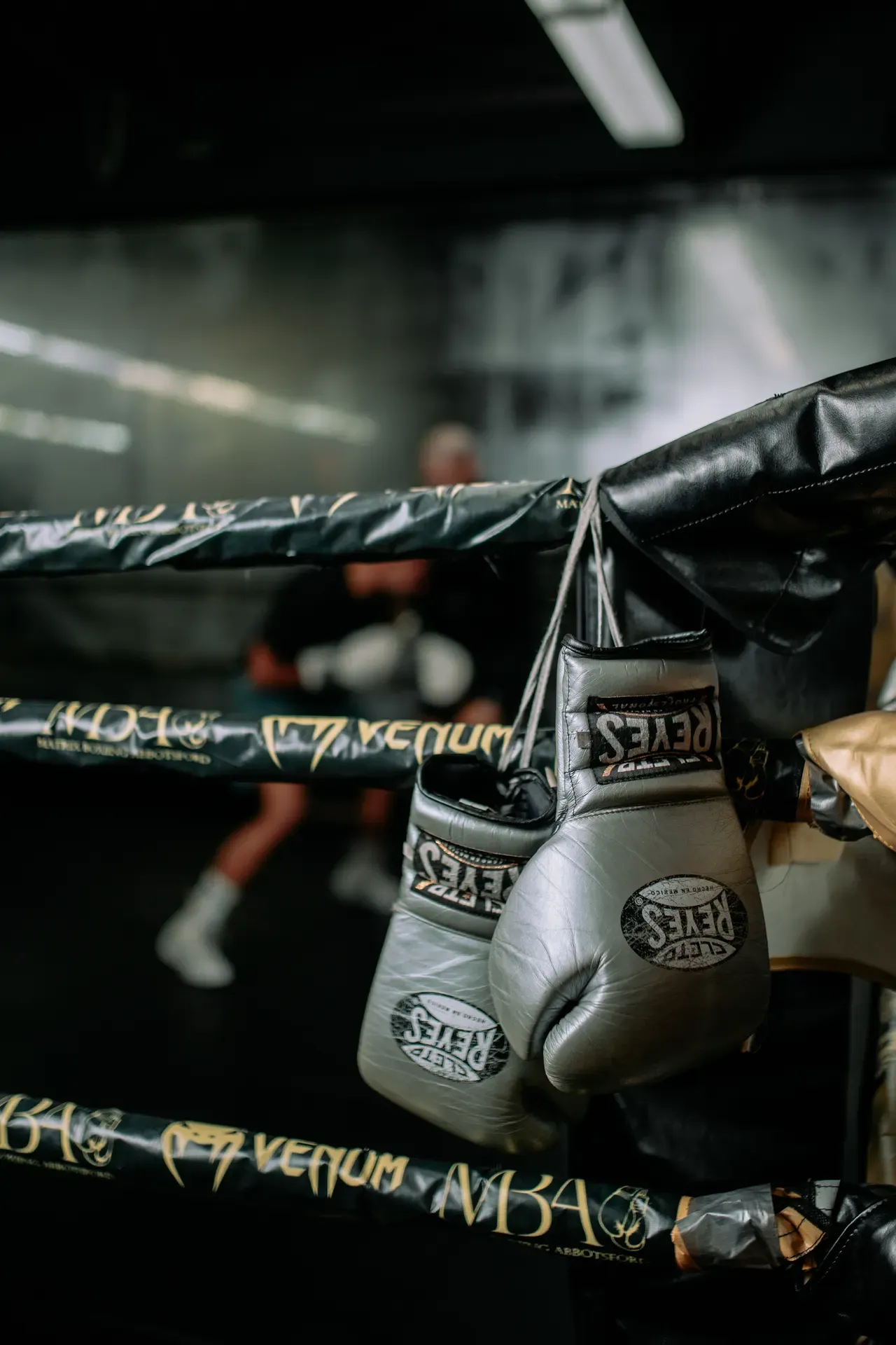 Boxing gloves resting on the ring ropes at Matrix Boxing